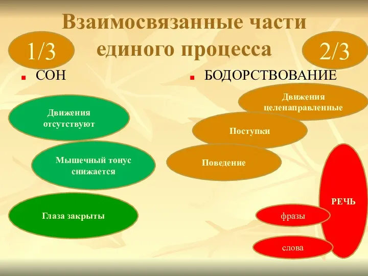 Взаимосвязанные части единого процесса СОН БОДОРСТВОВАНИЕ Движения целенаправленные Поступки Поведение РЕЧЬ слова