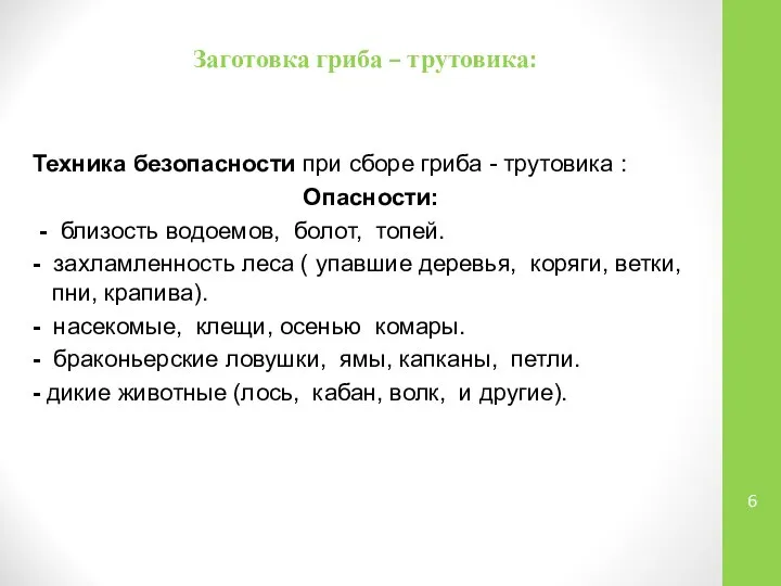 Заготовка гриба – трутовика: Техника безопасности при сборе гриба - трутовика :