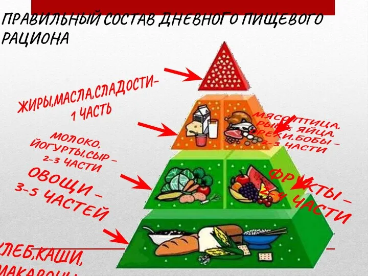 ПРАВИЛЬНЫЙ СОСТАВ ДНЕВНОГО ПИЩЕВОГО РАЦИОНА