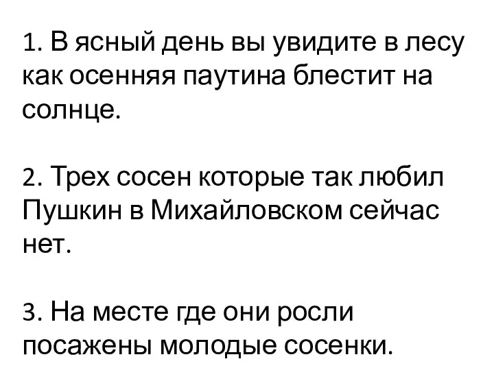 1. В ясный день вы увидите в лесу как осенняя паутина блестит