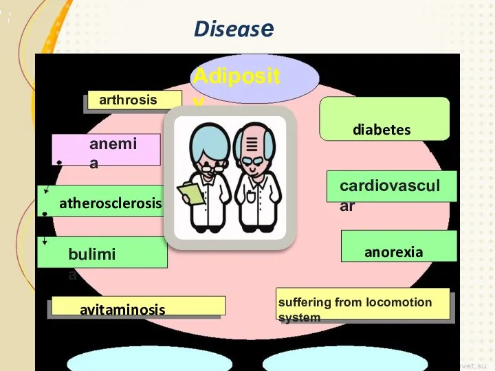 Diseasе Adiposity arthrosis anemia atherosclerosis bulimia avitaminosis diabetes cardiovascular anorexia suffering from locomotion system