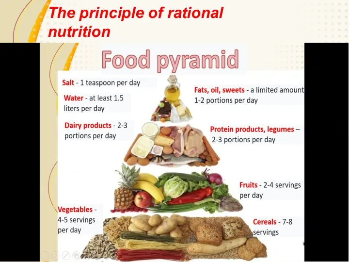 The principle of rational nutrition is moderation, variety and balance.