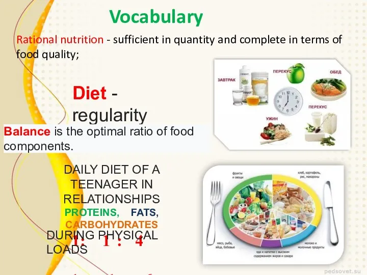Vocabulary Rational nutrition - sufficient in quantity and complete in terms of