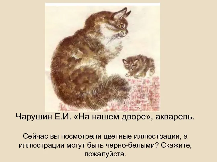 Чарушин Е.И. «На нашем дворе», акварель. Сейчас вы посмотрели цветные иллюстрации, а