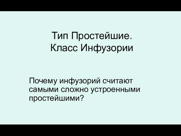 Тип Простейшие. Класс Инфузории Почему инфузорий считают самыми сложно устроенными простейшими?