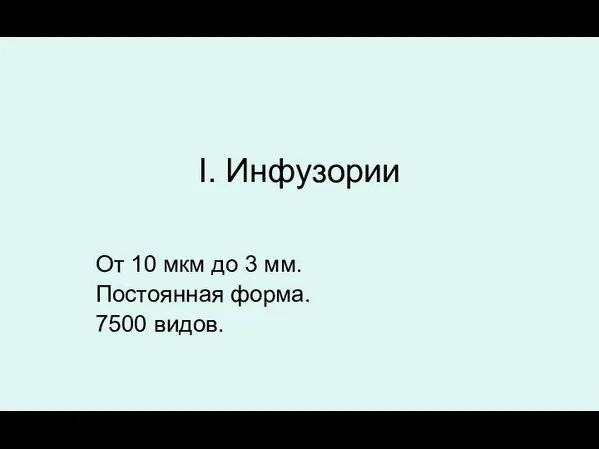 I. Инфузории От 10 мкм до 3 мм. Постоянная форма. 7500 видов.