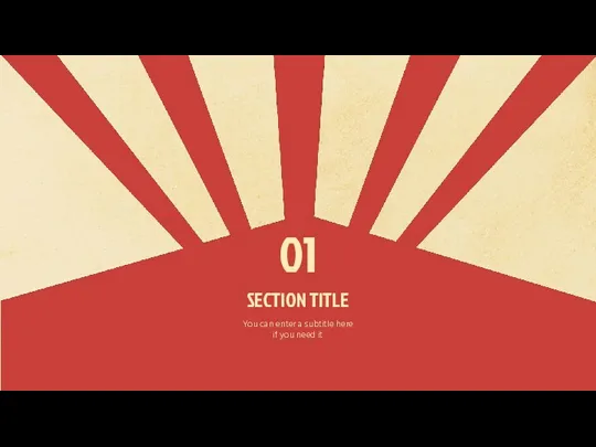 01 SECTION TITLE You can enter a subtitle here if you need it