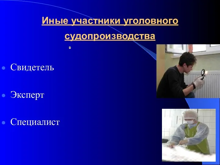 Иные участники уголовного судопроизводства Свидетель Эксперт Специалист