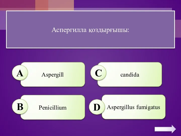 Аспергилла қоздырғышы: Aspergill сandіda Penicillium Aspergillus fumigatus А B C D