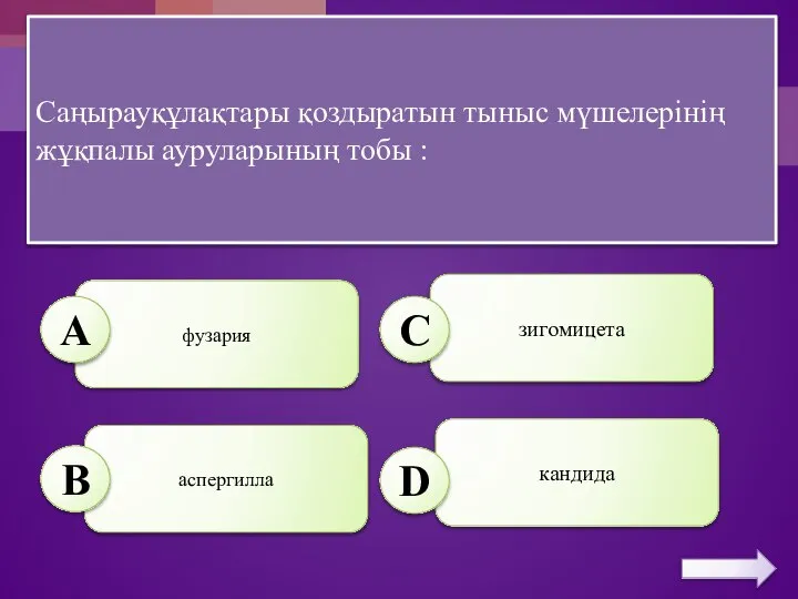 Саңырауқұлақтары қоздыратын тыныс мүшелерінің жұқпалы ауруларының тобы : аспергилла зигомицета фузария кандида А B C D