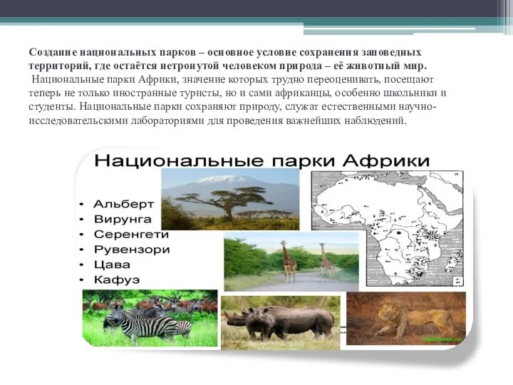 Создание национальных парков – основное условие сохранения заповедных территорий, где остаётся нетронутой