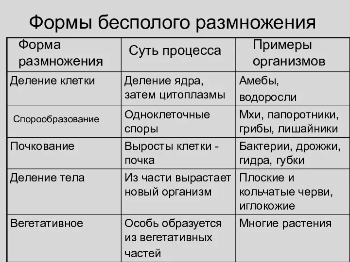 Формы бесполого размножения Форма размножения Суть процесса Примеры организмов Спорообразование