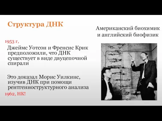 Структура ДНК 1953 г, Джеймс Уотсон и Френсис Крик предположили, что ДНК