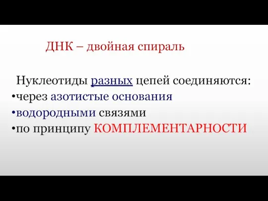 ДНК – двойная спираль Нуклеотиды разных цепей соединяются: через азотистые основания водородными связями по принципу КОМПЛЕМЕНТАРНОСТИ