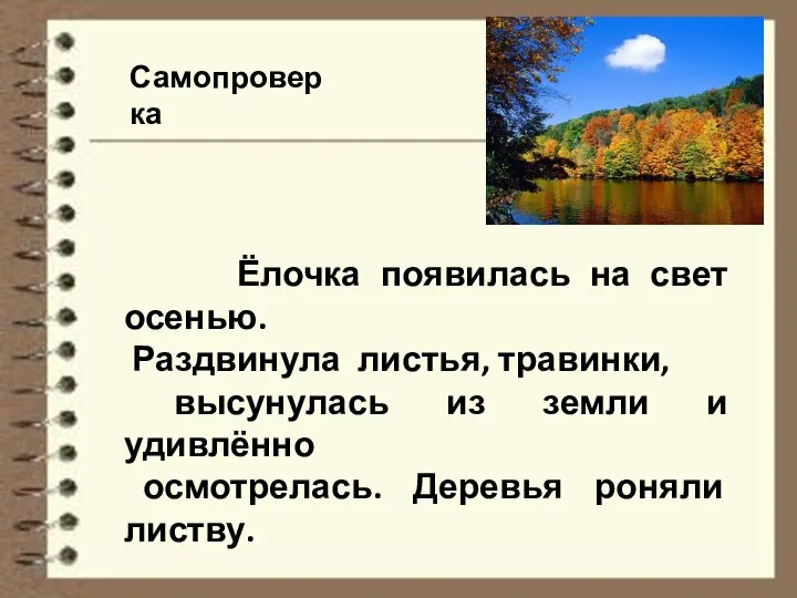 Самопроверка Ёлочка появилась на свет осенью. Раздвинула листья, травинки, высунулась из земли