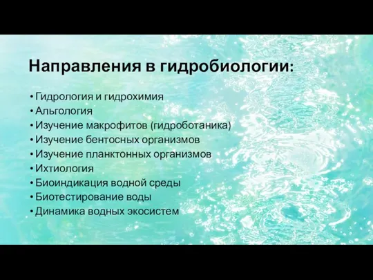 Направления в гидробиологии: Гидрология и гидрохимия Альгология Изучение макрофитов (гидроботаника) Изучение бентосных