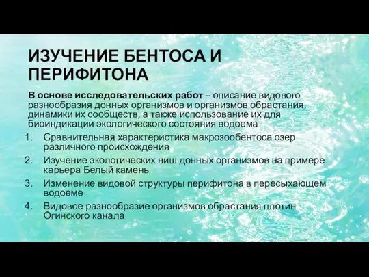 ИЗУЧЕНИЕ БЕНТОСА И ПЕРИФИТОНА В основе исследовательских работ – описание видового разнообразия