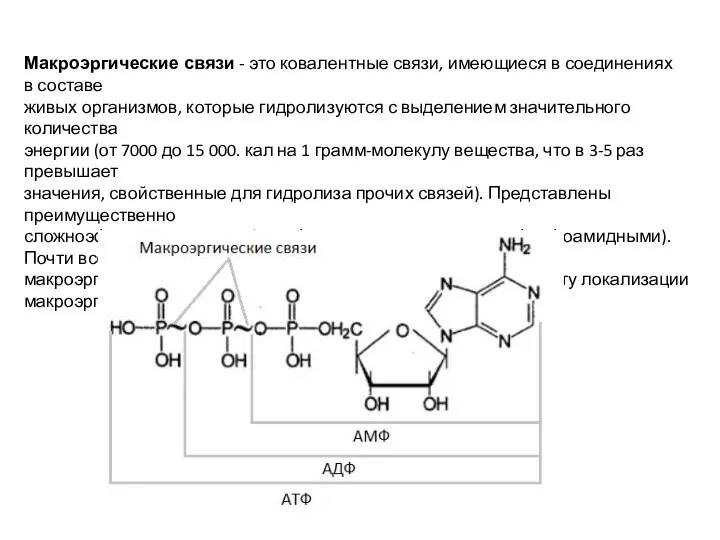 Макроэргические связи - это ковалентные связи, имеющиеся в соединениях в составе живых