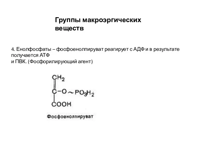 Группы макроэргических веществ 4. Енолфосфаты – фосфоенолпируват реагирует с АДФ и в