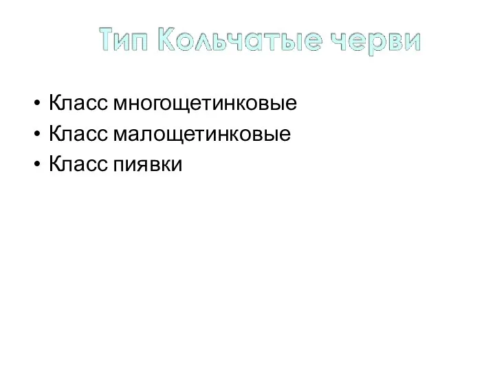 Около 12000 видов Класс многощетинковые Класс малощетинковые Класс пиявки