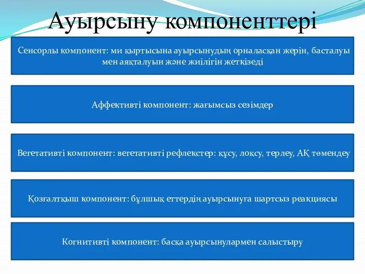 Ауырсыну компоненттері Сенсорлы компонент: ми қыртысына ауырсынудың орналасқан жерін, басталуы мен аяқталуын