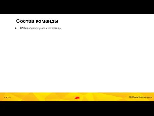 Состав команды ФИО и должности участников команды