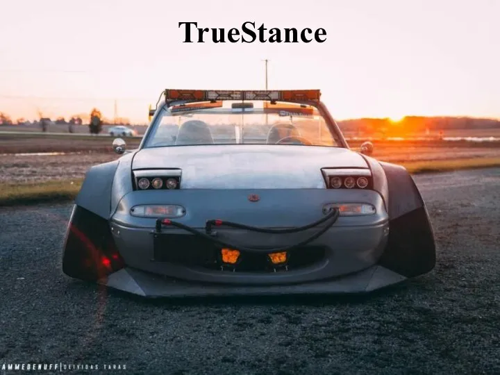 TrueStance
