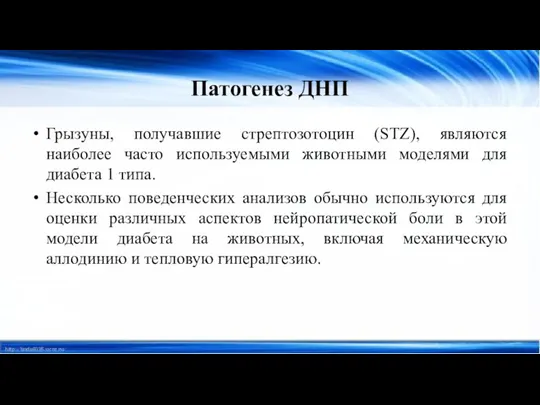 Патогенез ДНП Грызуны, получавшие стрептозотоцин (STZ), являются наиболее часто используемыми животными моделями