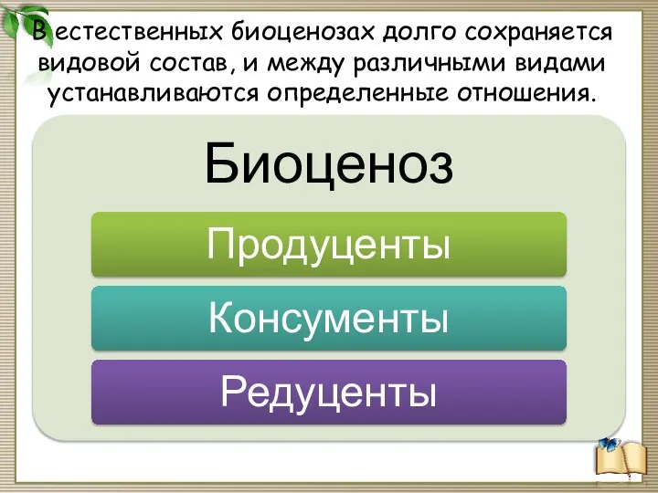 В естественных биоценозах долго сохраняется видовой состав, и между различными видами устанавливаются определенные отношения.