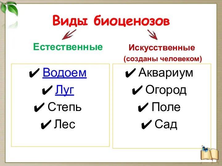 Виды биоценозов Естественные Водоем Луг Степь Лес Искусственные (созданы человеком) Аквариум Огород Поле Сад