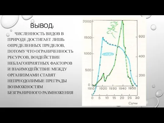 ВЫВОД: ЧИСЛЕННОСТЬ ВИДОВ В ПРИРОДЕ ДОСТИГАЕТ ЛИШЬ ОПРЕДЕЛЕННЫХ ПРЕДЕЛОВ, ПОТОМУ ЧТО ОГРАНИЧЕННОСТЬ