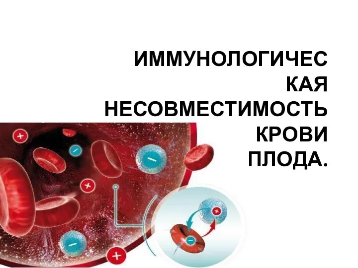 ИММУНОЛОГИЧЕСКАЯ НЕСОВМЕСТИМОСТЬ КРОВИ МАТЕРИ И ПЛОДА.