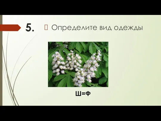 5. Определите вид одежды Ш=Ф