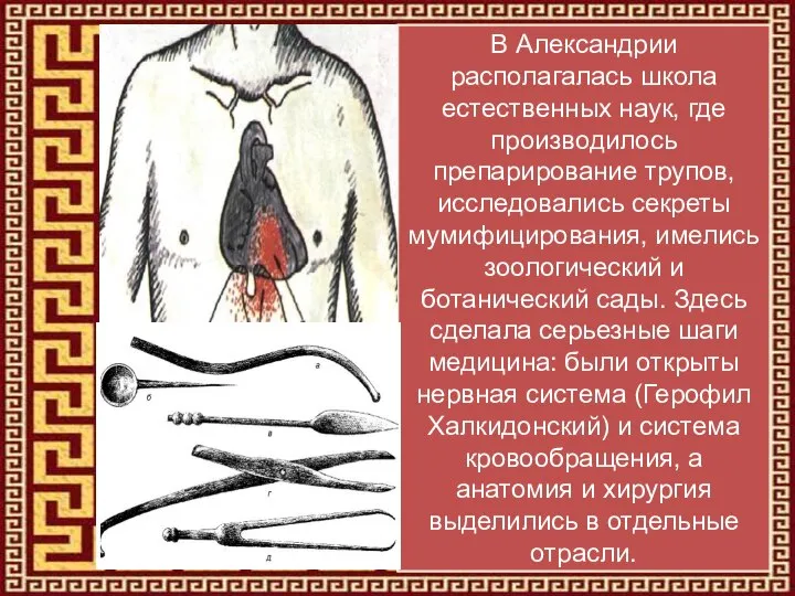 В Александрии располагалась школа естественных наук, где производилось препарирование трупов, исследовались секреты