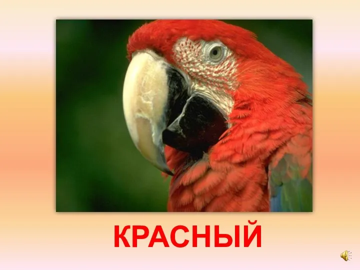 КРАСНЫЙ