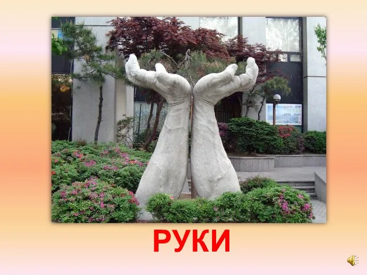 РУКИ