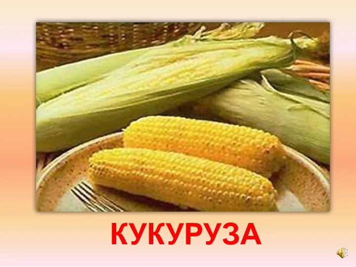 КУКУРУЗА