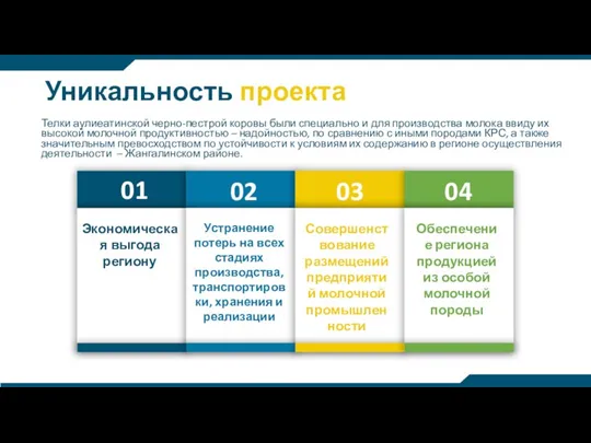 Уникальность проекта 01 02 03 04 Экономическая выгода региону Устранение потерь на