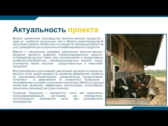 Актуальность проекта Вопрос увеличения производства молочно-мясных продуктов –один из наиболее актуальных тем