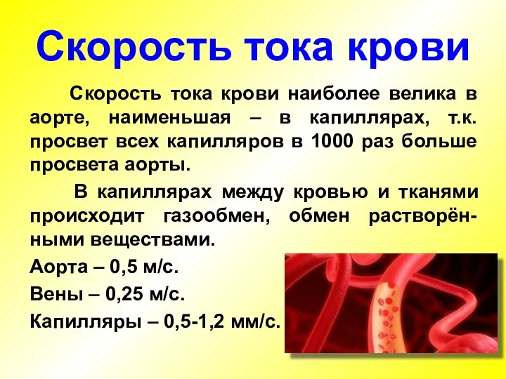 Скорость тока крови наиболее велика в аорте, наименьшая – в капиллярах, т.к.