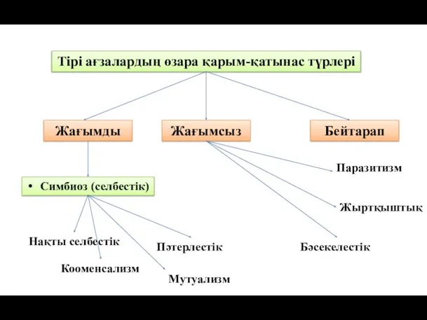 Тірі ағзалардың өзара қарым-қатынас түрлері Жағымды Жағымсыз Бейтарап Симбиоз (селбестік) Нақты селбестік