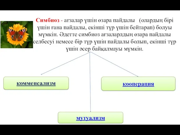 Симбиоз - ағзалар үшін өзара пайдалы (олардың бірі үшін ғана пайдалы, екінші