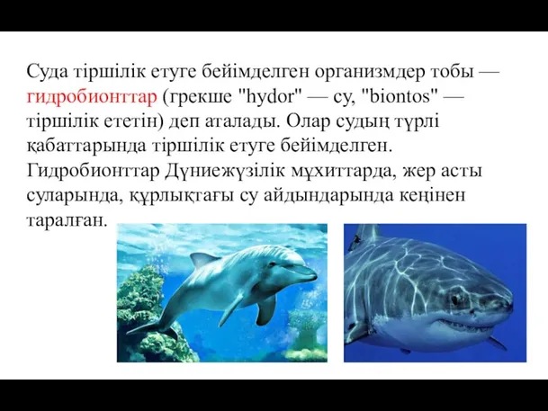 Суда тіршілік етуге бейімделген организмдер тобы — гидробионттар (грекше "hydor" — су,