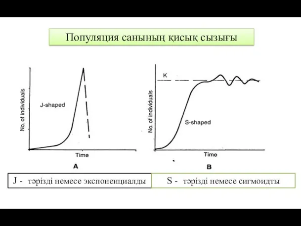 Популяция санының қисық сызығы J - тәрізді немесе экспоненциалды S - тәрізді немесе сигмоидты