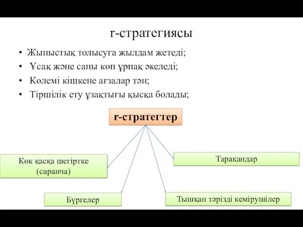 r-стратегиясы Жыныстық толысуға жылдам жетеді; Ұсақ және саны көп ұрпақ әкеледі; Көлемі