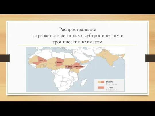 Распространение встречается в регионах с субтропическим и тропическим климатом