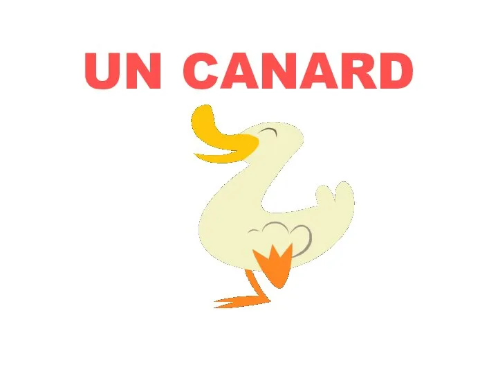 UN CANARD