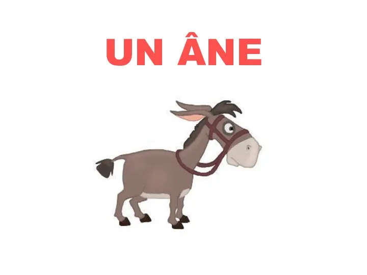 UN ÂNE