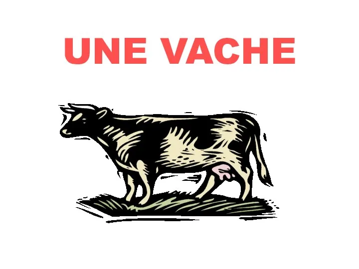 UNE VACHE