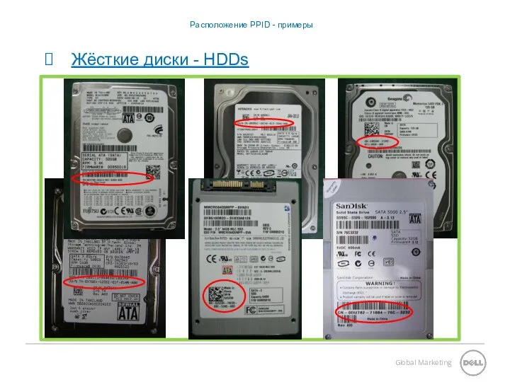 Расположение PPID - примеры Жёсткие диски - HDDs